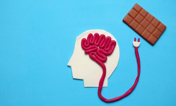 Dark chocolate promotes brain activity.