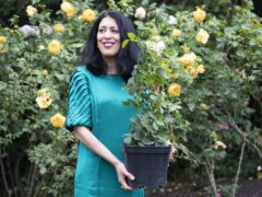 Zehra Zaidi, founder of the We Too Built Britain campaign, holds a John Ystumllyn rose in the gardens of Buckingham Palace (Kirsty O’Connor/PA)
