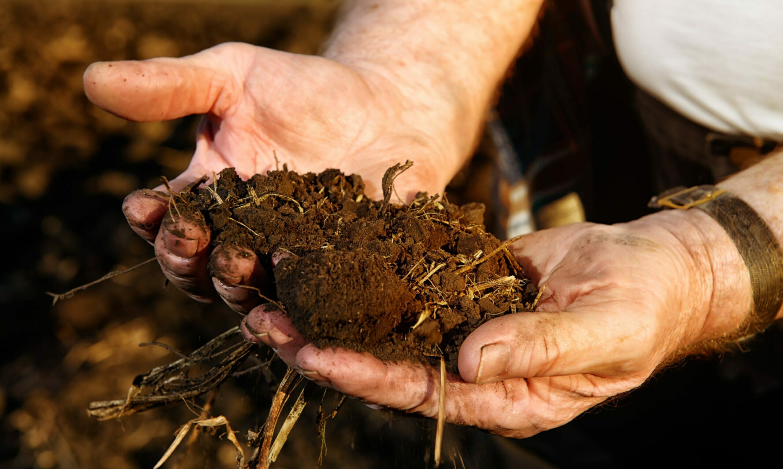 'Don't sell yourselves short': Farmers advised to tread carefully before selling carbon credits - Vimarsana News