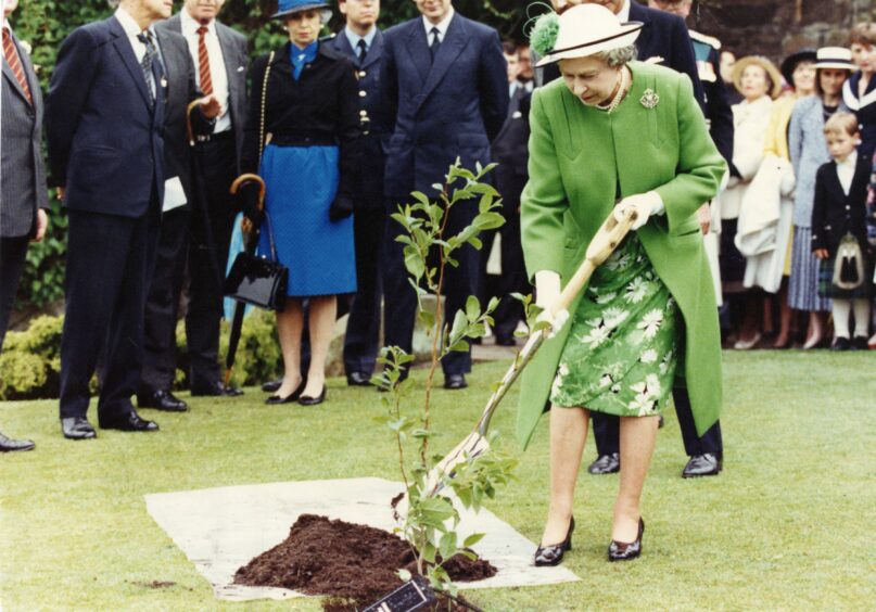 Her Majesty plants a tree in the grounds of Falkland Palace.