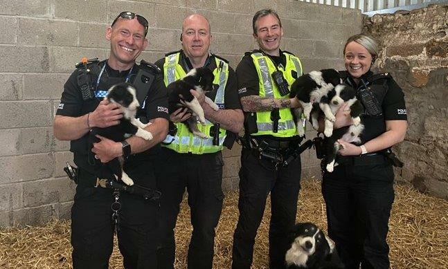 Officers from Haddington police station return Border collie puppies stolen from a farm in April 2020..