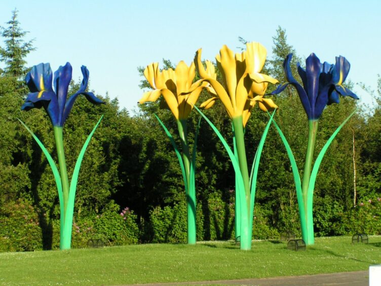 Glenrothes' famous Irises.