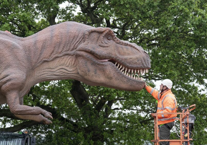 A gigantic animatronic Tyrannosaurus Rex is installed at the Yorkshire Wildlife Park in Doncaster, ahead of the opening of the park's latest attraction, Pangea. Danny Lawson/PA Wire.