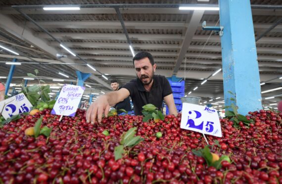 A vendor sells cherries at a market in Istanbul, Turkey. Turkey's consumer price index (CPI) surged by 73.5 percent year-on-year in May, hitting a record high since October 1998, the Turkish Statistical Institute announced Friday. Xinhua/Shutterstock.