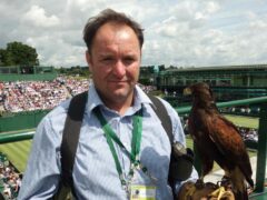 Wayne Davis and Rufus the Harris hawk who help to keep birds and vermin away from All England Lawn Tennis and Croquet Club during Wimbledon fortnight (John Fahey/PA)