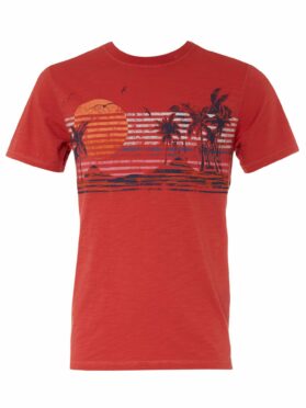 Men's sunrise T-shirt, £19.99, M&amp;Co.