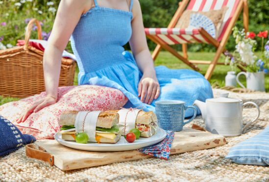 picnic sandwich recipes