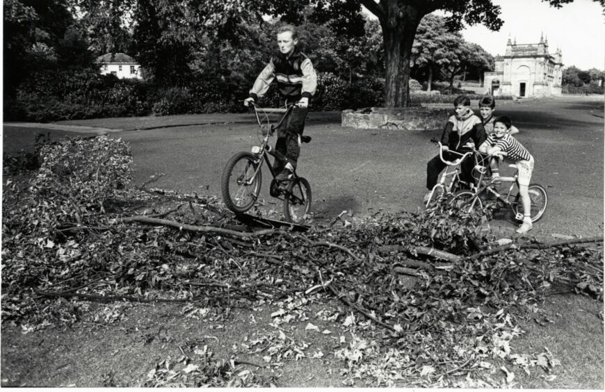 Spectators watch Andrew Fyffe climb the broken branch ramp they made for their BMX bikes at Baxter Park.