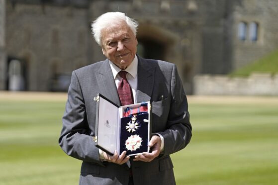 Sir David Attenborough after being appointed a Knight Grand Cross of the Order of St Michael and St George