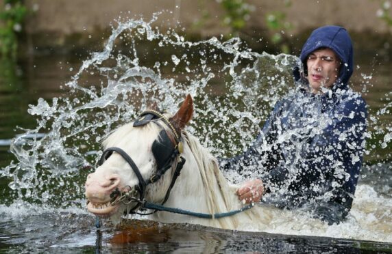 A man rides his horse in the River Eden at Appleby Horse Fair