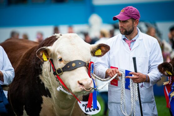 Hereford Champion, Lot 2753, Spartan Typhoon.