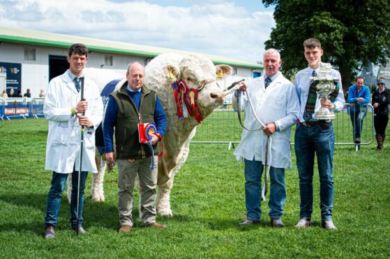 The beef interbreed judging which resulted in the Charolais bull, Maerdy Morwr, from AJR Farms in Ellon winning the newly donated Fletcher McDairmid Trophy.
