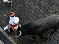 A runner falls during the running of the bulls at the San Fermin Festival in Pamplona, northern Spain (Alvaro Barrientos/AP)