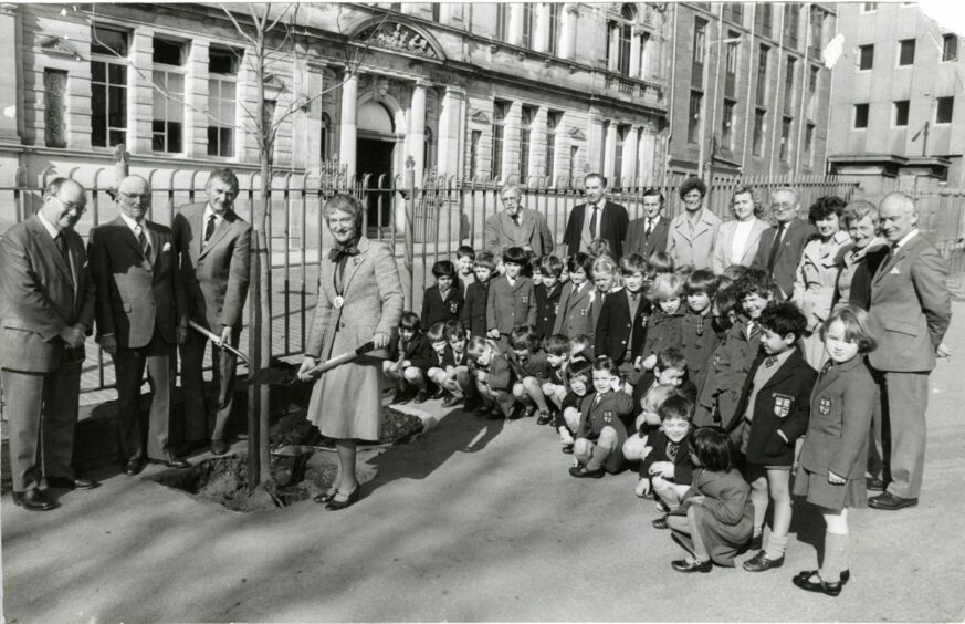 Jane Peggie, president of the Old Girls Club, and Gordon Stewart, President of the Old Boys Club, planted the trees.