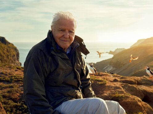 Sir David Attenborough, filming for Wild Isles series, next to Common puffins on Skomer Island, off the Pembrokeshire coast in Wales (Alex Board/Silverback Films/BBC/PA)