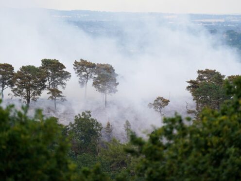 A large wildfire in woodland at Lickey Hills Country Park on the edge of Birmingham (Jacob King/PA)
