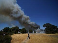 Police officers near the scene of a grass fire at the Leyton Flats nature reserve in east London (Yui Mok/PA)