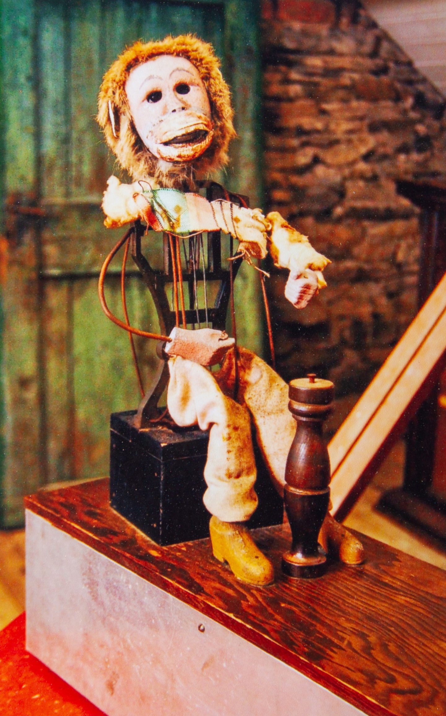A surviving Peter Pan monkey which has seen better days.