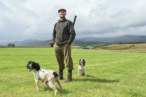 A gamekeeper with two springer spaniels, one of which was the victim of dog theft in scotland