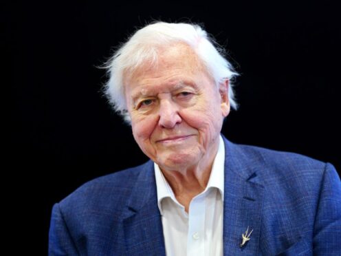 Sir David Attenborough’s latest Dinosaur documentary is up for a Rose d’Or Award (Victoria Jones/PA)