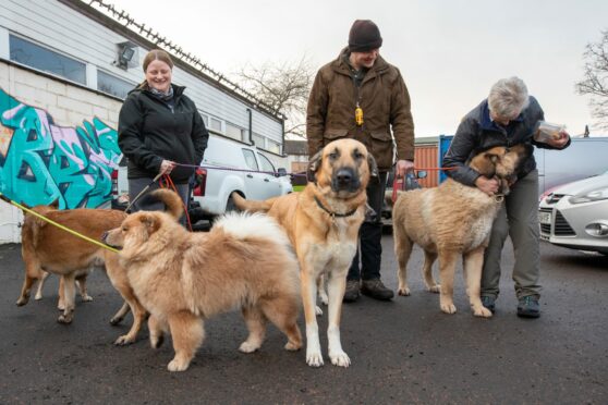 Dundee and Angus dog trainers with their dogs at Brooksbank Community Centre.