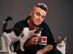 Robbie Williams sings It’s Great To Be a Cat for pet food brand Felix (Felix/Linda Hastrich)