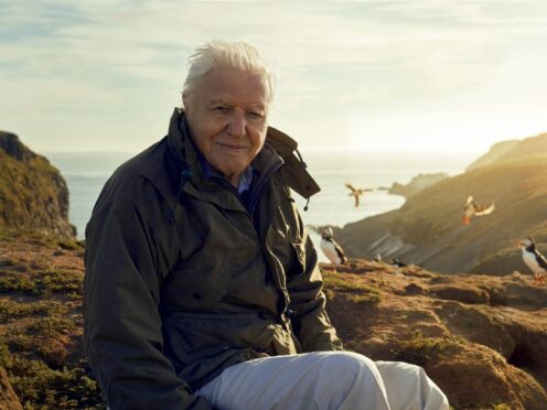 Sir David Attenborough (BBC/Silverback Films/Alex Board/PA)