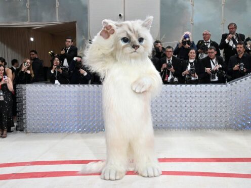 Karl Lagerfeld’s cat honoured at Met Gala with feline-inspired outfits (Evan Agostini/AP)