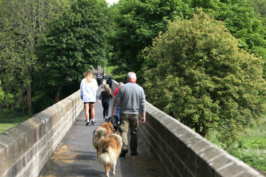 People and dogs using the bridge in 2022. 