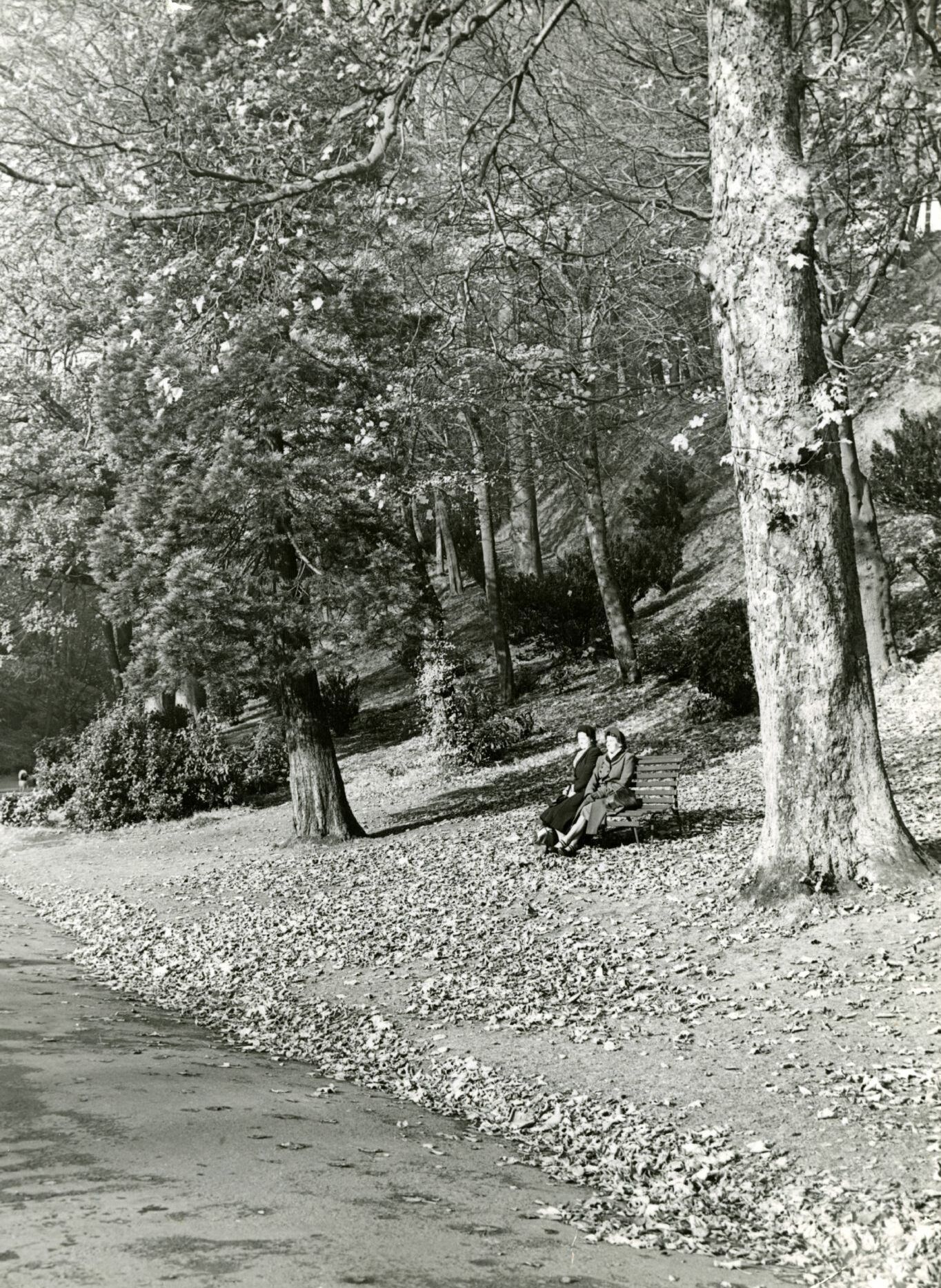 Two women sitting on a bench in balgay park in 1952.