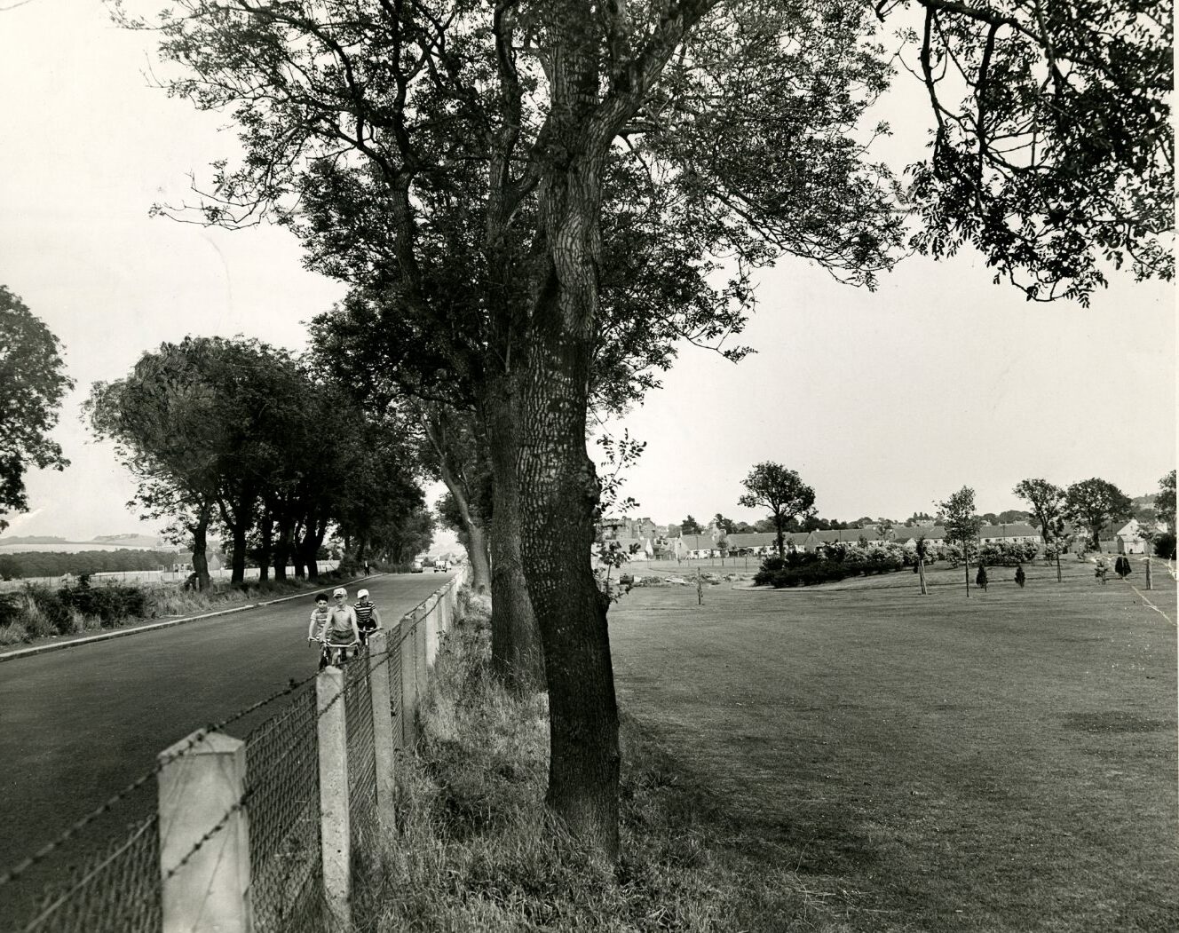 Dawson Park in 1959.