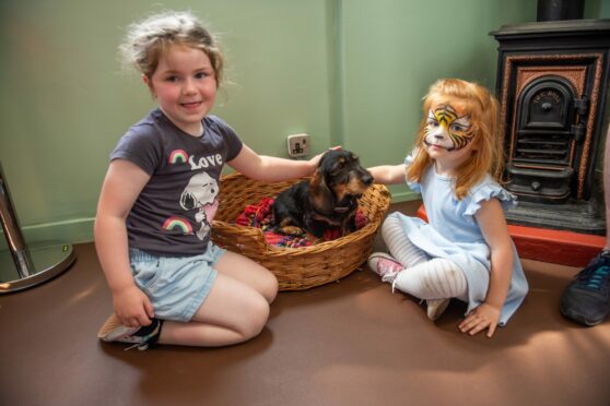 Ava Hay and Phillipa Thornton enjoy meeting Wexford, one of the centre's volunteers dogs.