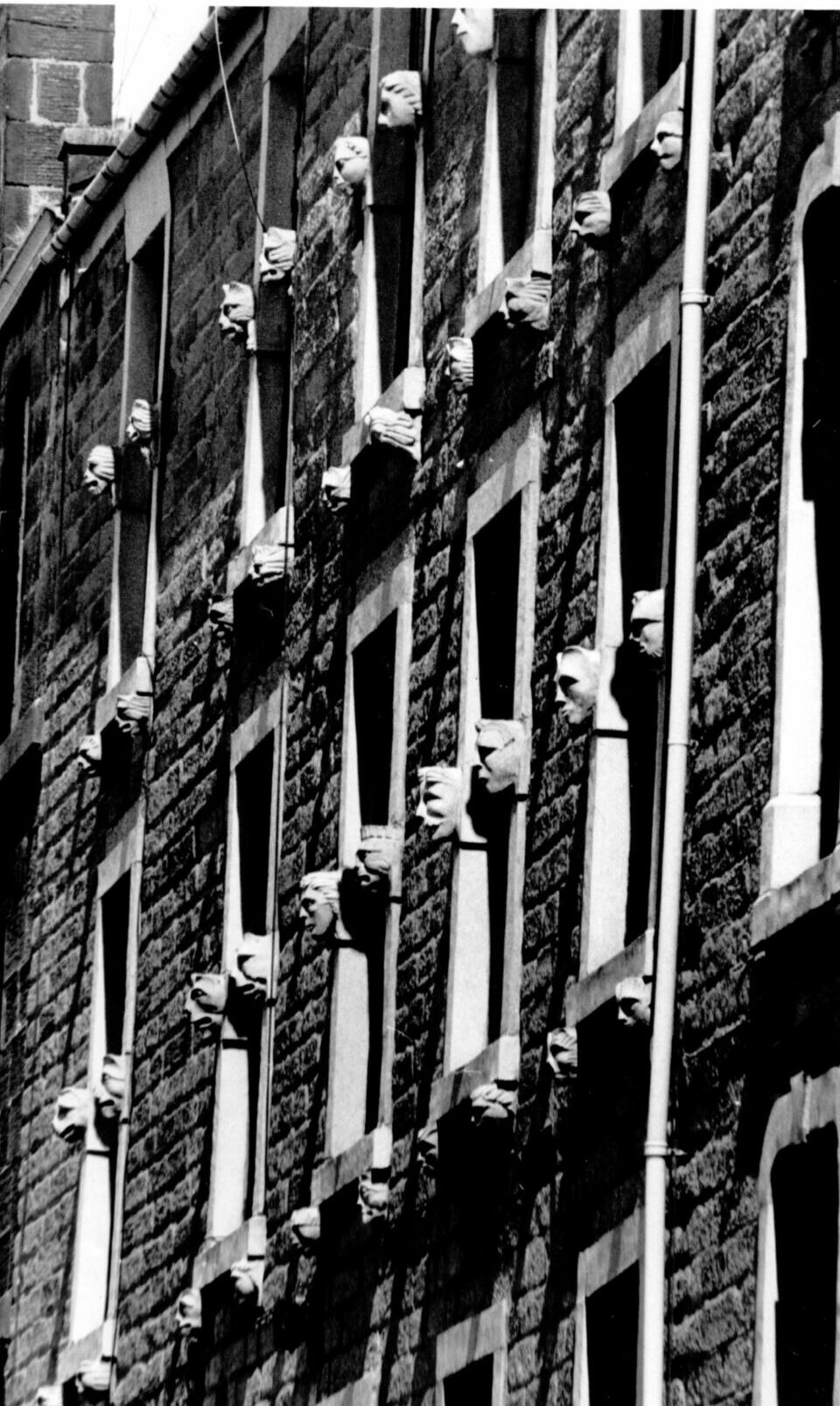 The homes in North Ellen Street with the unusual gargoyle faces on the front. Image: DC Thomson.