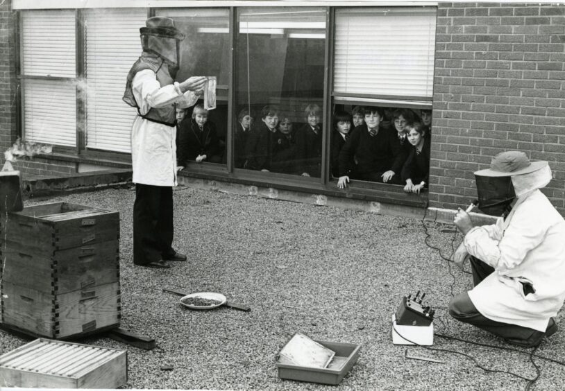 Pupils look on as two adults demonstrate bee keeping at Whitfield High School in September 1979. Image: DC Thomson.