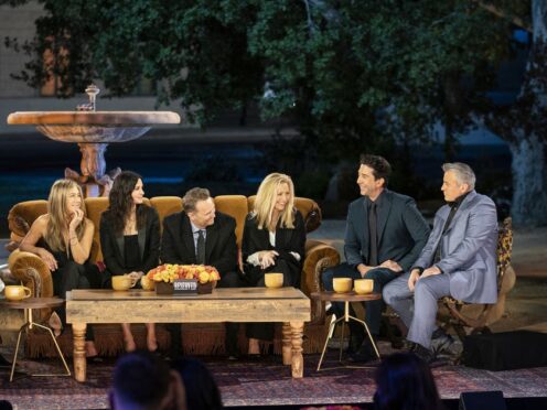 David Schwimmer thanked Matthew Perry for ‘years of laughter and creativity’ (Terence Patrick/HBO Max)