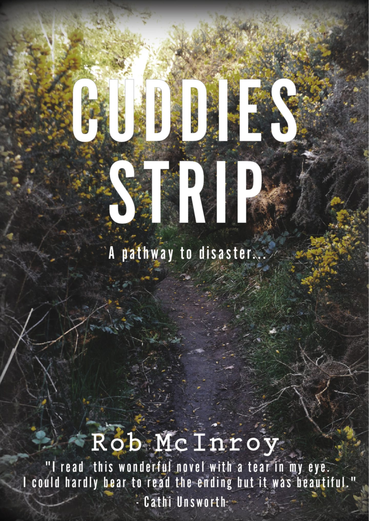 The book cover for Cuddies Strip by Rob McInroy