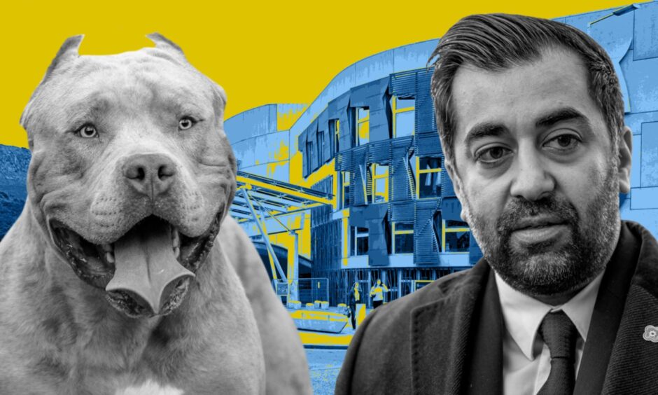 Humza Yousaf Says Scotland Will Replicate Ban On XL Bully Dogs