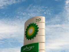 New BP chief executive Murray Auchincloss was appointed in January (Alamy/PA)
