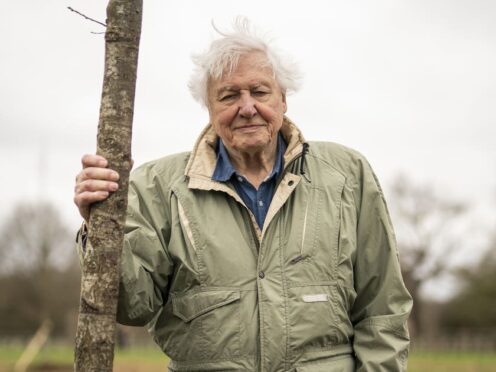 Sir David Attenborough will present Mammals (Aaron Chown/PA)