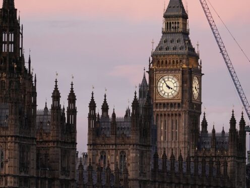 A view of the Palace of Westminster (Jordan Pettitt/PA)
