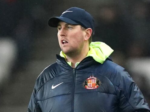 Sunderland interim manager Mike Dodds admitted his changes backfired against Swansea (Mike Egerton/PA)