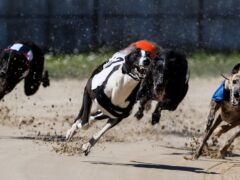 Mark Ruskell said greyhound racing is ‘cruel’ (David Davies/PA)