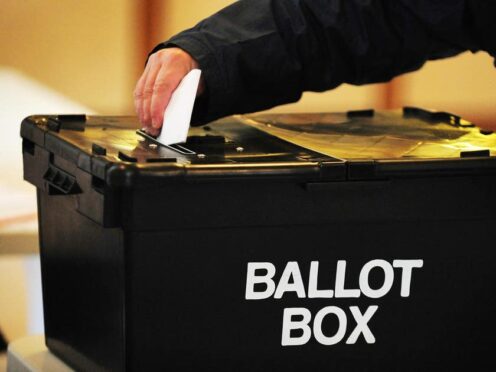 A general election is expected later this year (PA)
