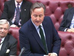 Foreign Secretary Lord David Cameron said a two-state solution ‘would not reward Hamas’ (House of Lords/PA)