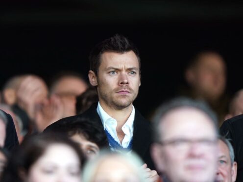 Harry Styles in the stands during the Premier League match at Kenilworth Road (PA)