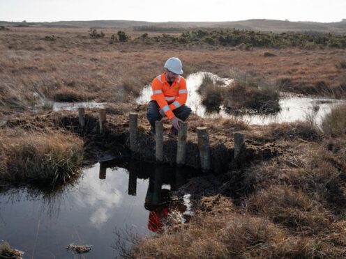 Leaky dams being built across the restoration site in Purbeck to block old ditches (Sophie Bolesworth/National Trust Images/PA)
