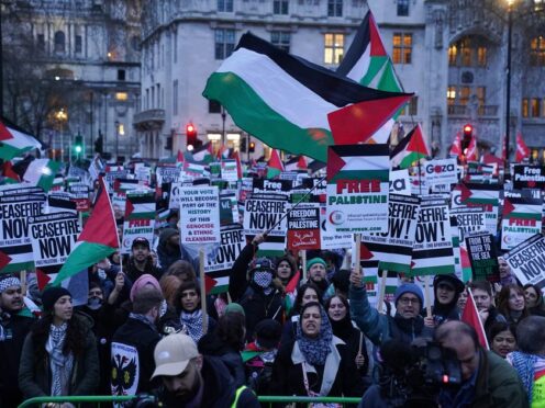 Pro-Palestine marches have been a regular occurrence since the Israel-Hamas conflict started in October (Lucy North/PA)