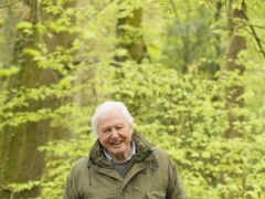 First look at David Attenborough’s Secret World Of Sound TV series (David Attenborough/Sky Nature/PA)