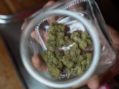 Two years after Thailand made cannabis legal, the country appears set to crack down on its freewheeling drug market with a ban on ‘recreational’ use (Sakchai Lalit/AP)