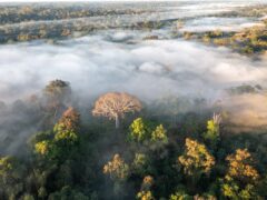 Scientists have warned that swathes of the Amazon face pressures that could lead to a ‘tipping point’ by 2050 (Andre Dib/PA)